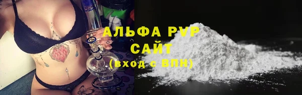 стафф Сосновоборск