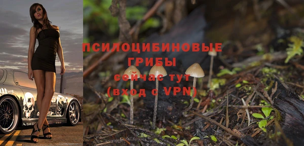 первитин Арсеньев
